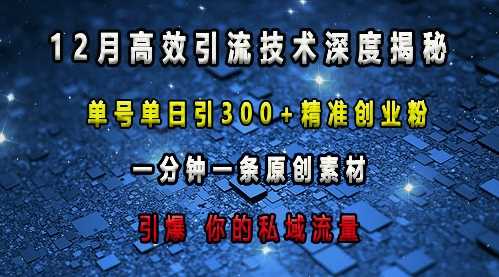 最新高效引流技术深度揭秘 ,单号单日引300+精准创业粉,一分钟一条原创素材,引爆你的私域流量-九才资源网
