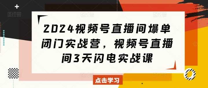 2024视频号直播间爆单闭门实战营,视频号直播间3天闪电实战课-九才资源网