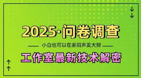 2025问卷调查最新工作室技术解密:一个人在家也可以闷声发大财,小白一天2张,可矩阵放大【揭秘】-九才资源网
