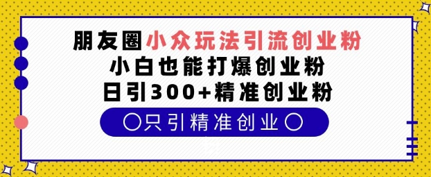 朋友圈小众玩法引流创业粉,小白也能打爆创业粉,日引300+精准创业粉【揭秘】-九才资源网