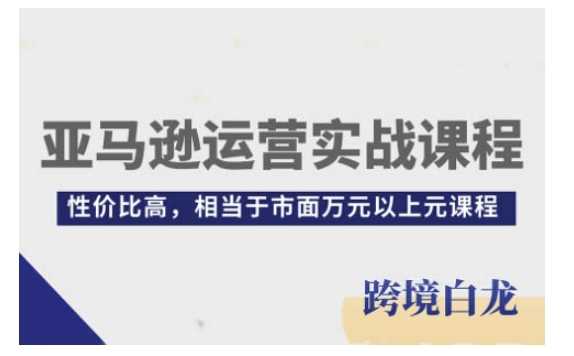 亚马逊运营实战课程,亚马逊从入门到精通,性价比高,相当于市面万元以上元课程-九才资源网