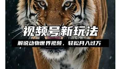 利用动物世界解说视频,赚分成计划收益,轻松月入过W,操作简单【揭秘】-九才资源网