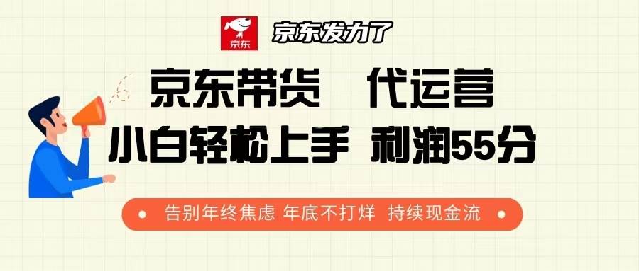 (13833期)京东带货 代运营 利润55分 告别年终焦虑 年底不打烊 持续现金流-九才资源网