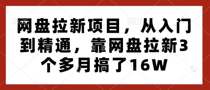 网盘拉新项目,从入门到精通,靠网盘拉新3个多月搞了16W-九才资源网
