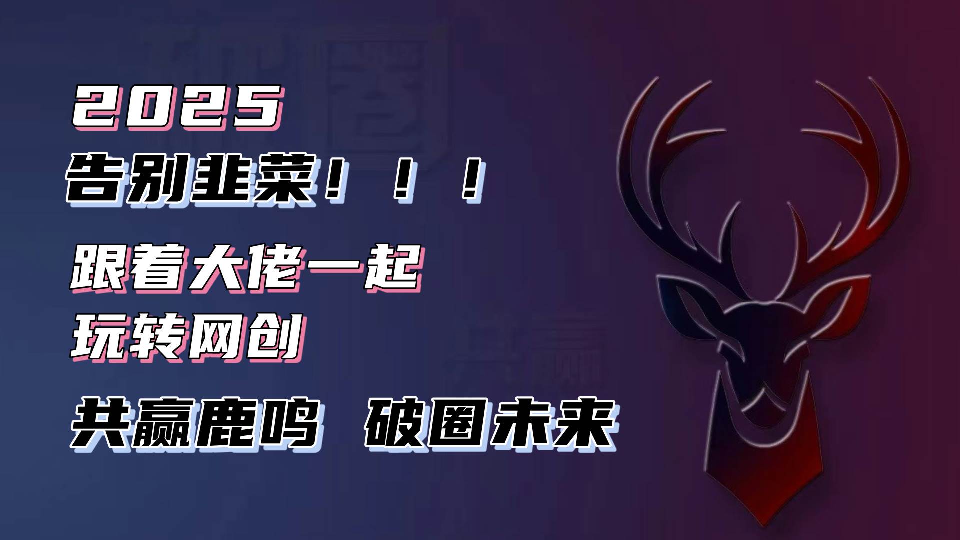 (13896期)告别韭菜!2025知识付费风口项目,小白也能闭眼操作!-九才资源网