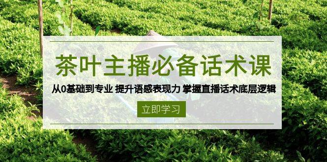 (13961期)茶叶 主播必备话术课 从0基础到专业 提升语感表现力 掌握直播话术底层逻辑-九才资源网