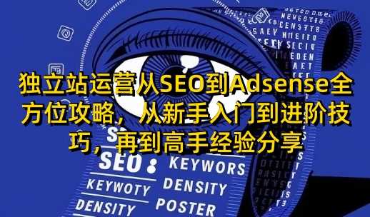 独立站运营从SEO到Adsense全方位攻略,从新手入门到进阶技巧,再到高手经验分享-九才资源网