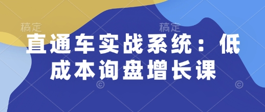 直通车实战系统:低成本询盘增长课,让个人通过技能实现升职加薪,让企业低成本获客,订单源源不断-九才资源网