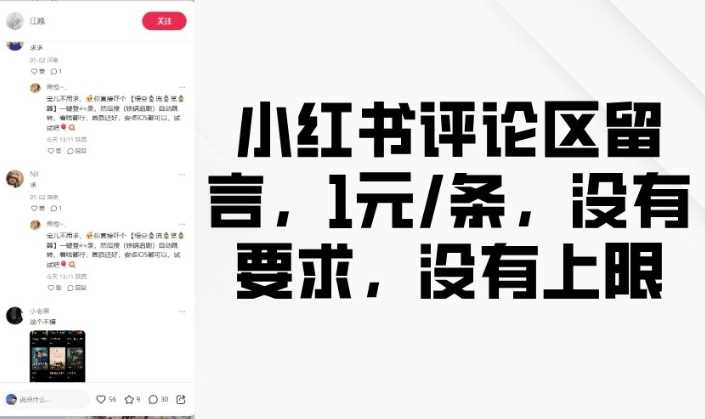 小红书评论区留言,1元条,没有要求,没有上限-九才资源网