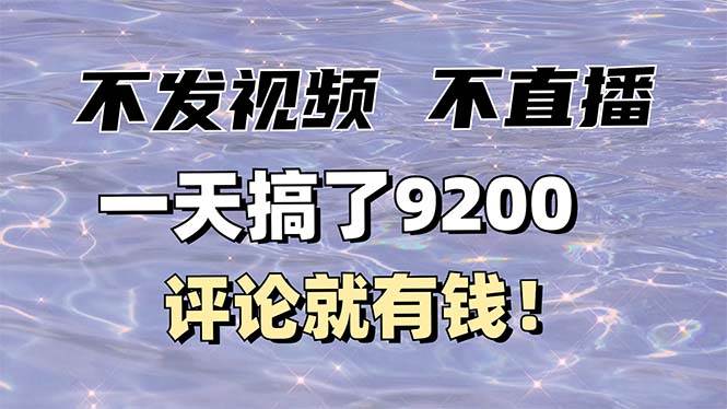 (14018期)不发作品不直播,评论就有钱,一条最高10块,一天搞了9200-九才资源网
