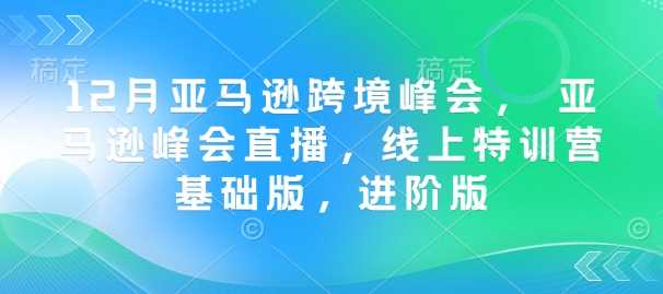 12月亚马逊跨境峰会, 亚马逊峰会直播,线上特训营基础版,进阶版-九才资源网