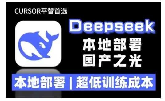 2025年deepseek R1 大型模型本地安装部署(文件+教程)本地部署,超低训练成本-九才资源网