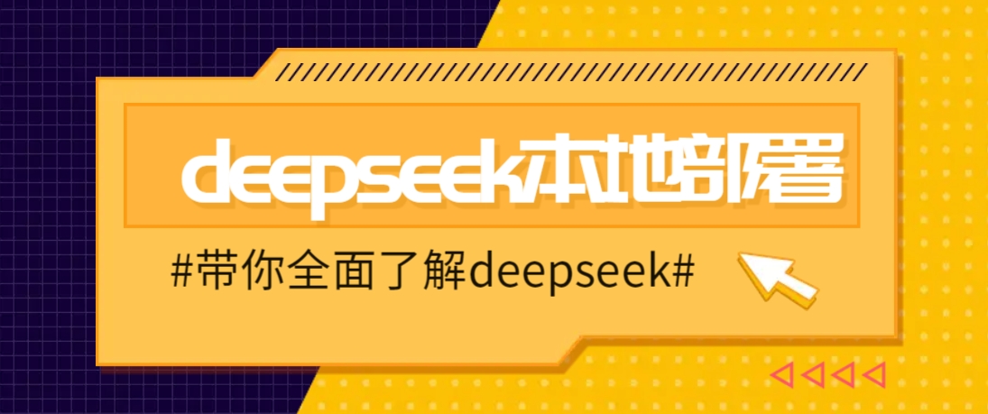 DeepSeek本地部署详细教程,轻松将deepseek部署到你的电脑上-九才资源网