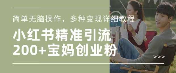 小红书混剪日引200+宝妈创业粉,简单无脑操作,多种变现详细教程-九才资源网