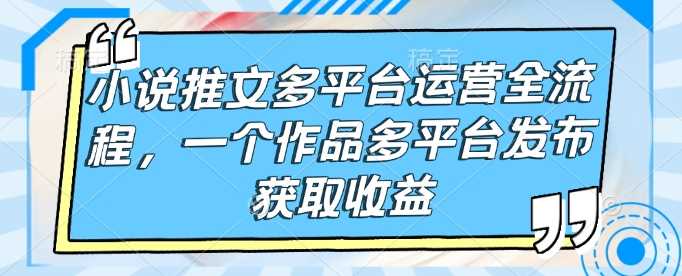 小说推文多平台运营全流程,一个作品多平台发布获取收益-九才资源网