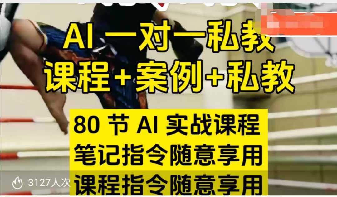 AI指令实战课,课程+案例,80节AI实战课程,笔记指令随意享用,课程指令随意享用-九才资源网