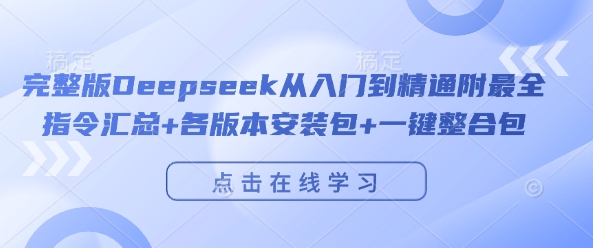 完整版Deepseek从入门到精通附最全指令汇总+各版本安装包+一键整合包-九才资源网