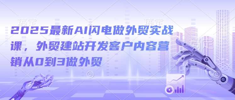 2025最新AI闪电做外贸实战课,外贸建站开发客户内容营销从0到3做外贸-九才资源网