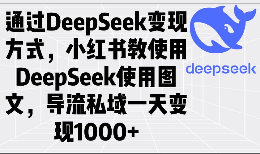 (14179期)通过DeepSeek变现方式,小红书教使用DeepSeek图文,导流私域一天变现1000+-九才资源网