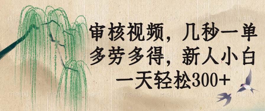 (14202期)审核视频,几秒一单,多劳多得,新人小白一天轻松300+-九才资源网