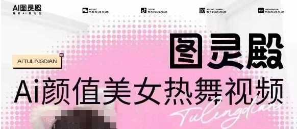 全网首发,原价988图灵殿AI颜值美女热舞视频,云端生图,轻松过原创-九才资源网