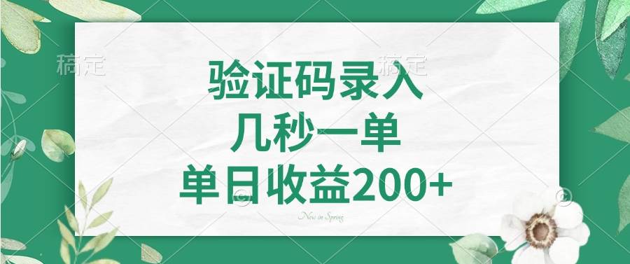 (14221期)验证码录入,几秒一单,单日收益200+-九才资源网