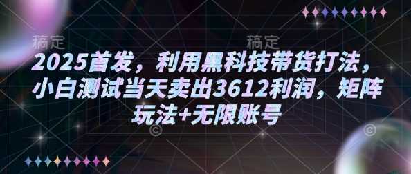 2025首发,利用黑科技带货打法,小白测试当天卖出3612利润,矩阵玩法+无限账号【揭秘】-九才资源网
