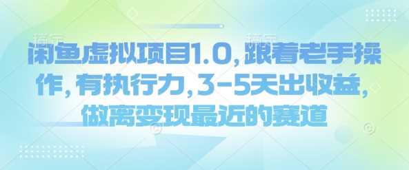 闲鱼虚拟项目1.0,跟着老手操作,有执行力,3-5天出收益,做离变现最近的赛道-九才资源网