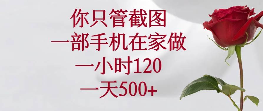 (14248期)你只管截图,一部手机在家做,一小时120,一天500+-九才资源网