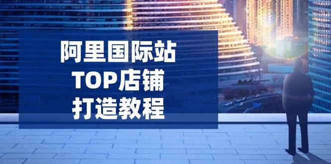 (14269期)阿里国际站TOP店铺打造教程:涵盖平台到高阶,解决运营难题,提升询盘-九才资源网