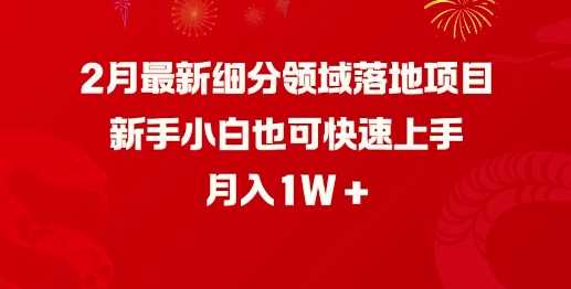 2月最新细分领域落地项目,新手小白也可快速上手,月入1W-九才资源网
