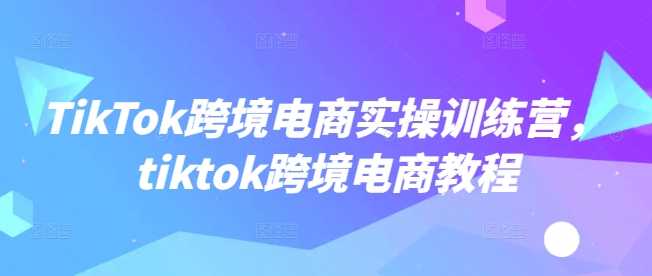 TikTok跨境电商实操训练营,tiktok跨境电商教程-九才资源网