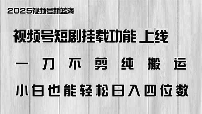 (14310期)视频号短剧挂载功能上线,一刀不剪纯搬运,小白也能轻松日入四位数-九才资源网