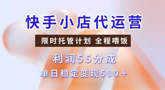 快手小店代运营3.0,模式新升级,收益55分,稳定单日5张【揭秘】-九才资源网