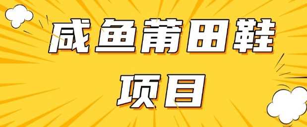 闲鱼高转化项目,手把手教你做,日入3张+(详细教程+货源)-九才资源网