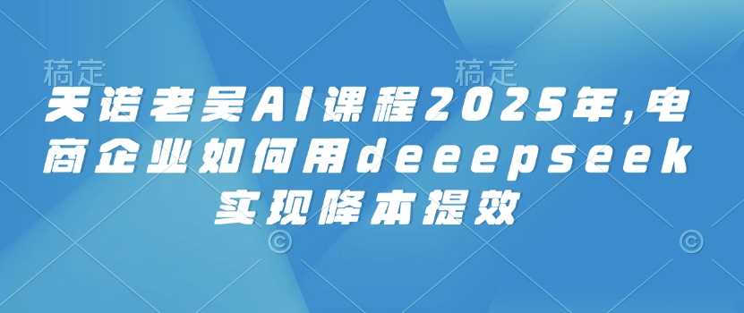 天诺老吴AI课程2025年,电商企业如何用deeepseek实现降本提效-九才资源网
