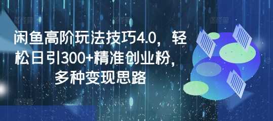 闲鱼高阶玩法技巧4.0,轻松日引300+精准创业粉,多种变现思路-九才资源网