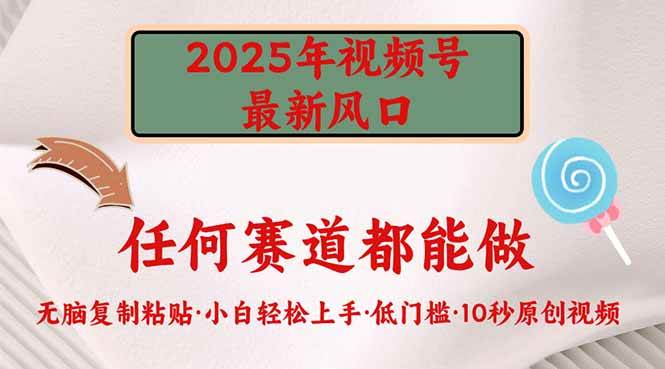 (14453期)2025年视频号新风口,低门槛只需要无脑执行-九才资源网