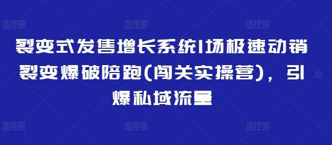 裂变式发售增长系统1场极速动销裂变爆破陪跑(闯关实操营),引爆私域流量-九才资源网