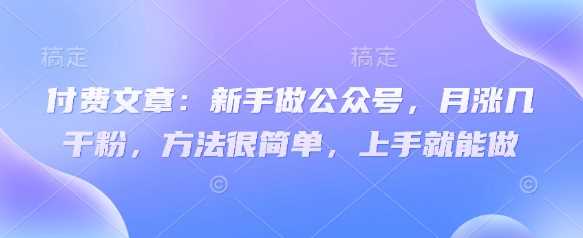付费文章:新手做公众号,月涨几干粉,方法很简单,上手就能做-九才资源网