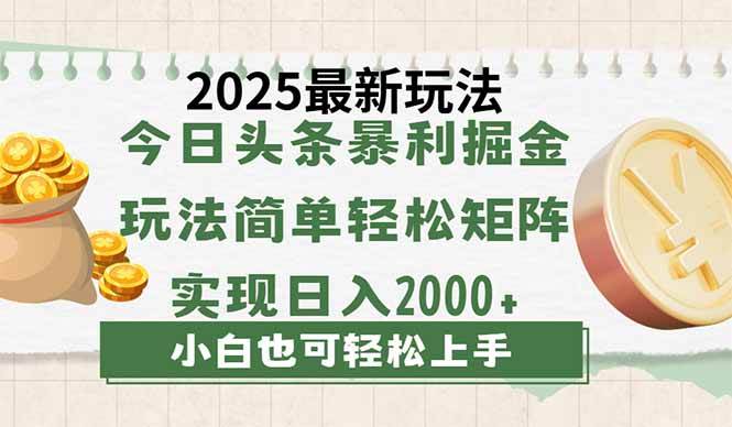 (14120期)今日头条2025最新玩法,思路简单,复制粘贴,轻松实现矩阵日入2000+-九才资源网