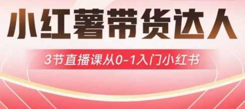 小红薯达人带货启航计划,3节直播课从0-1入门小红书-九才资源网