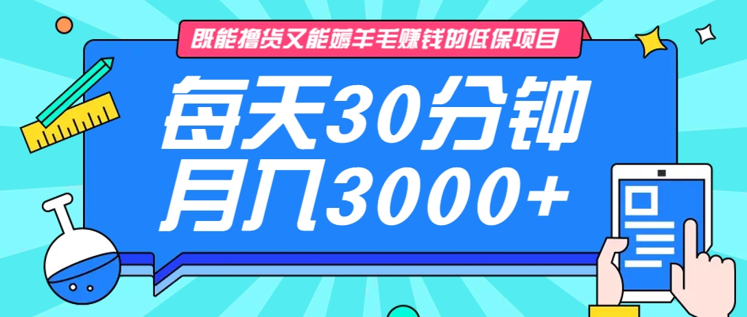 既能撸货又能赚钱的长期低保项目,每天30分钟,多号百分百稳定月入3000+!-九才资源网