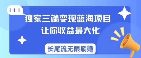独家三端变现蓝海项目,让你收益最大化,长尾流无限躺挣-九才资源网