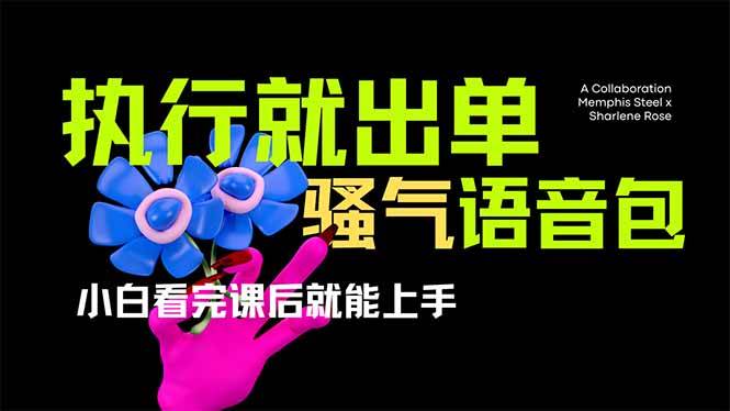 (14170期)爆火全网的开车导航骚气语音包,只要执行就出单,小白看完课程就能实操…-九才资源网