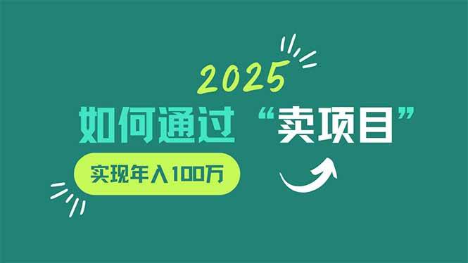 (14176期)2025年如何通过“卖项目”实现年入100万-九才资源网