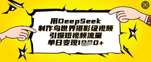 用DeepSeek制作鸟世界摄影级视频,引爆短视频流量,单日变现1k-九才资源网