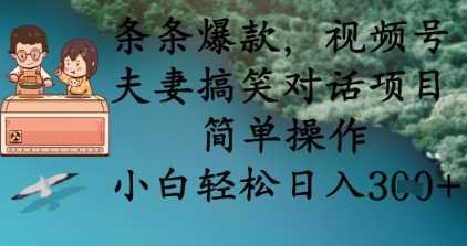 条条爆款,视频号夫妻搞笑对话项目,简单操作,小白轻松日入3张+-九才资源网