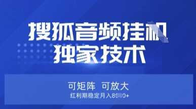 【搜狐音频挂G】独家技术,可矩阵可放大,红利期稳定月入8k【揭秘】-九才资源网