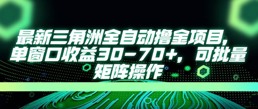 (14191期)最新三角洲全自动撸金项目,单窗口收益30-70+,可批量矩阵操作-九才资源网